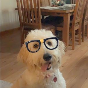 Meet your Posher, Chloe